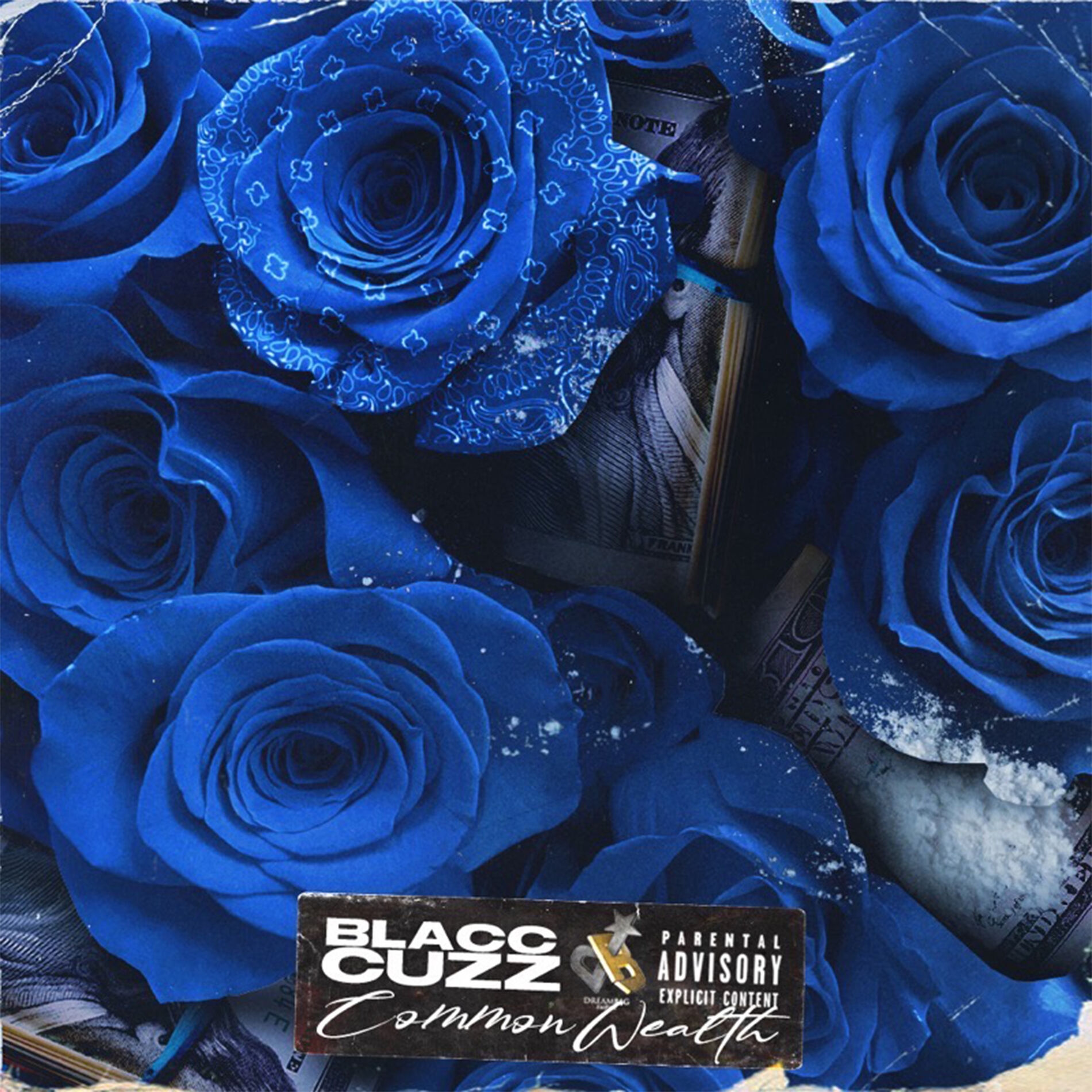 Album cover of Commonwealth