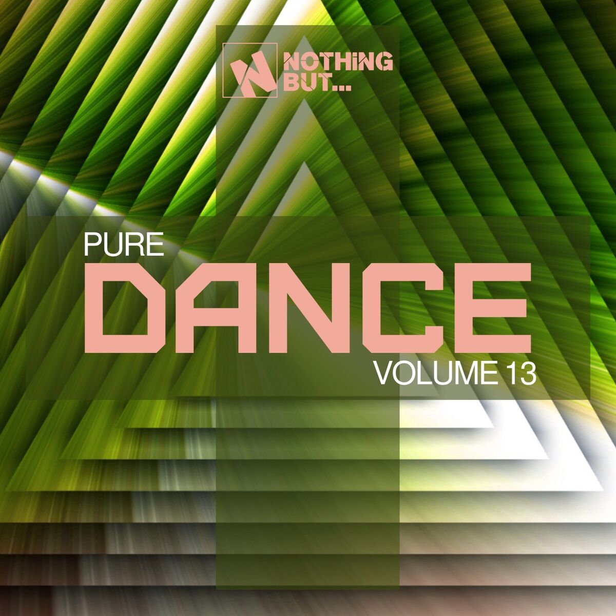 Album cover of Nothing But... Pure Dance, Vol. 13
