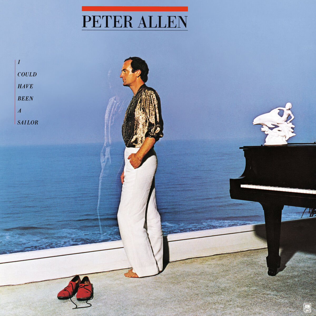 Album cover of I Could Have Been A Sailor