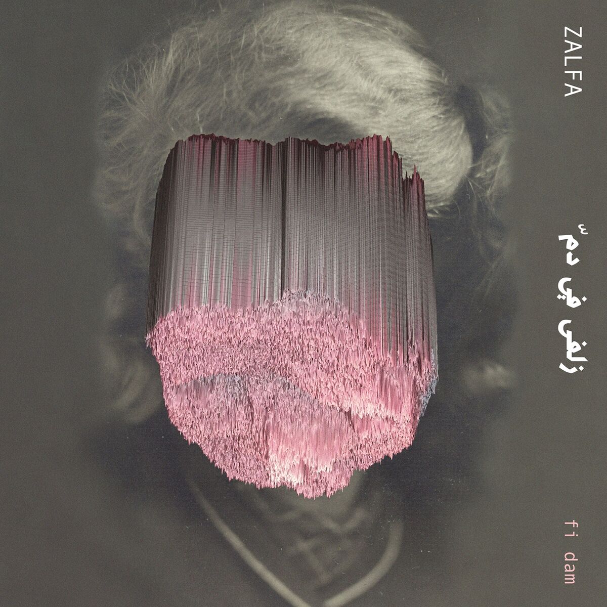 Album cover of Fi Dam
