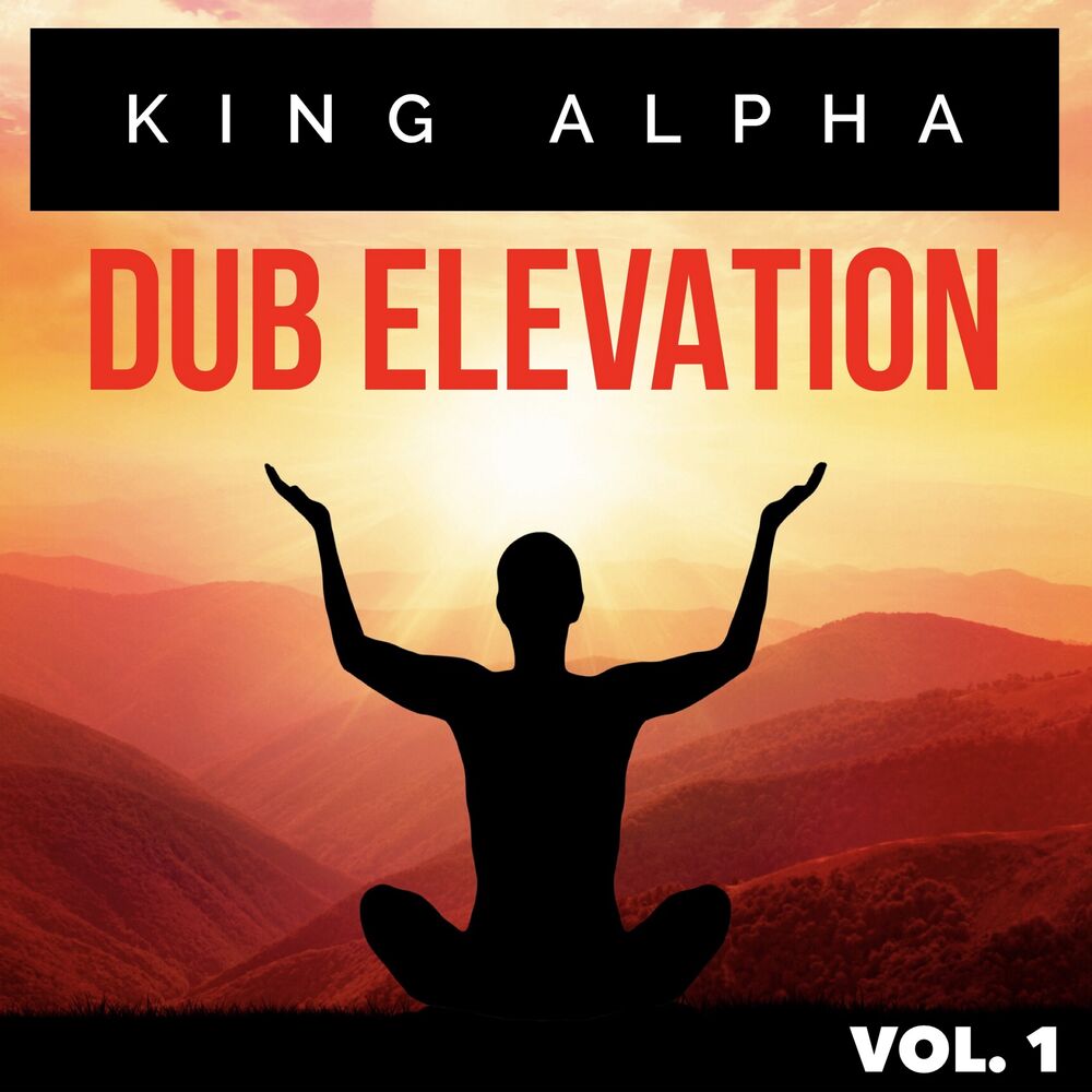 Picture of Dub Elevation Vol. 1