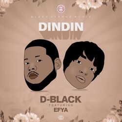 Cover of Dindin