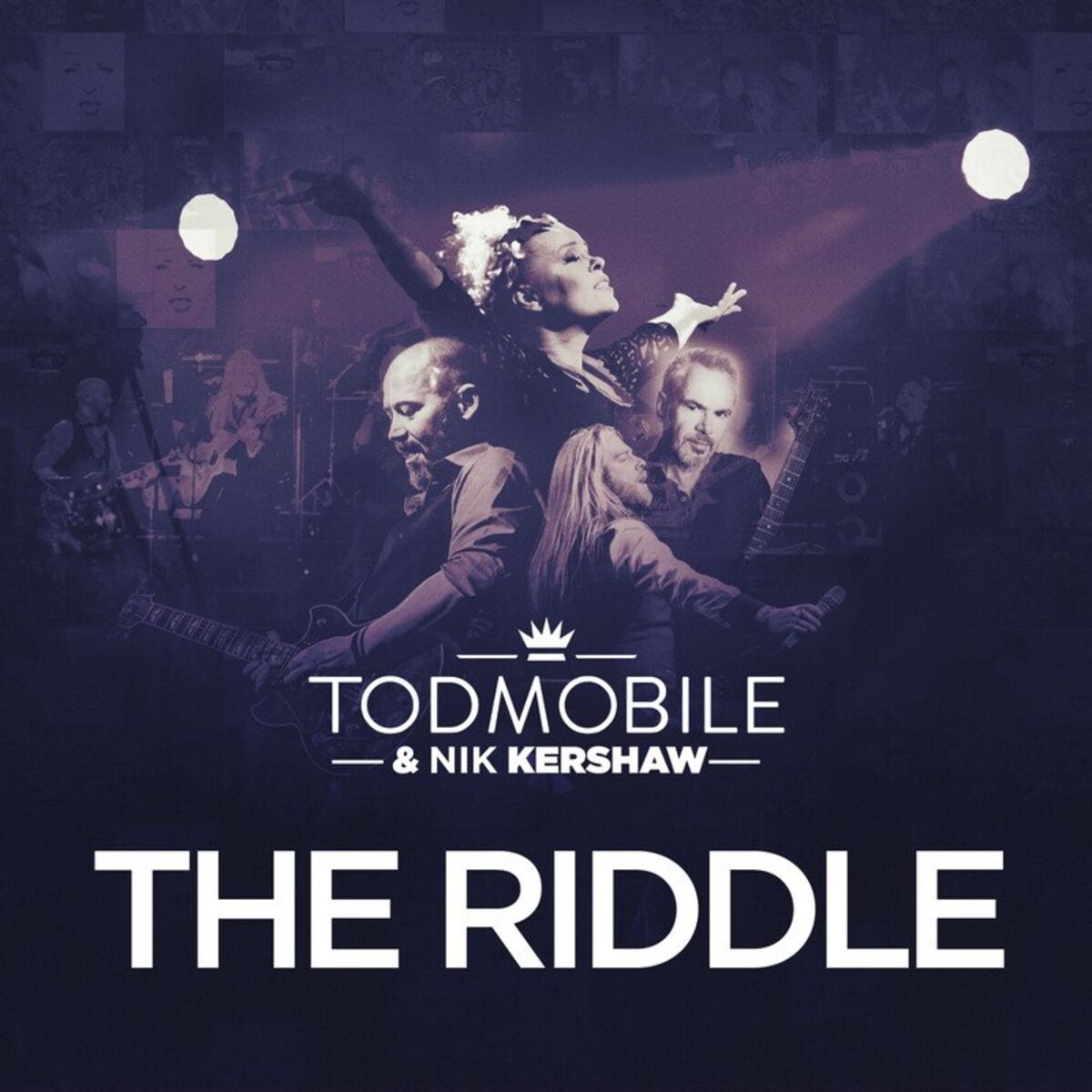 Album cover of The Riddle