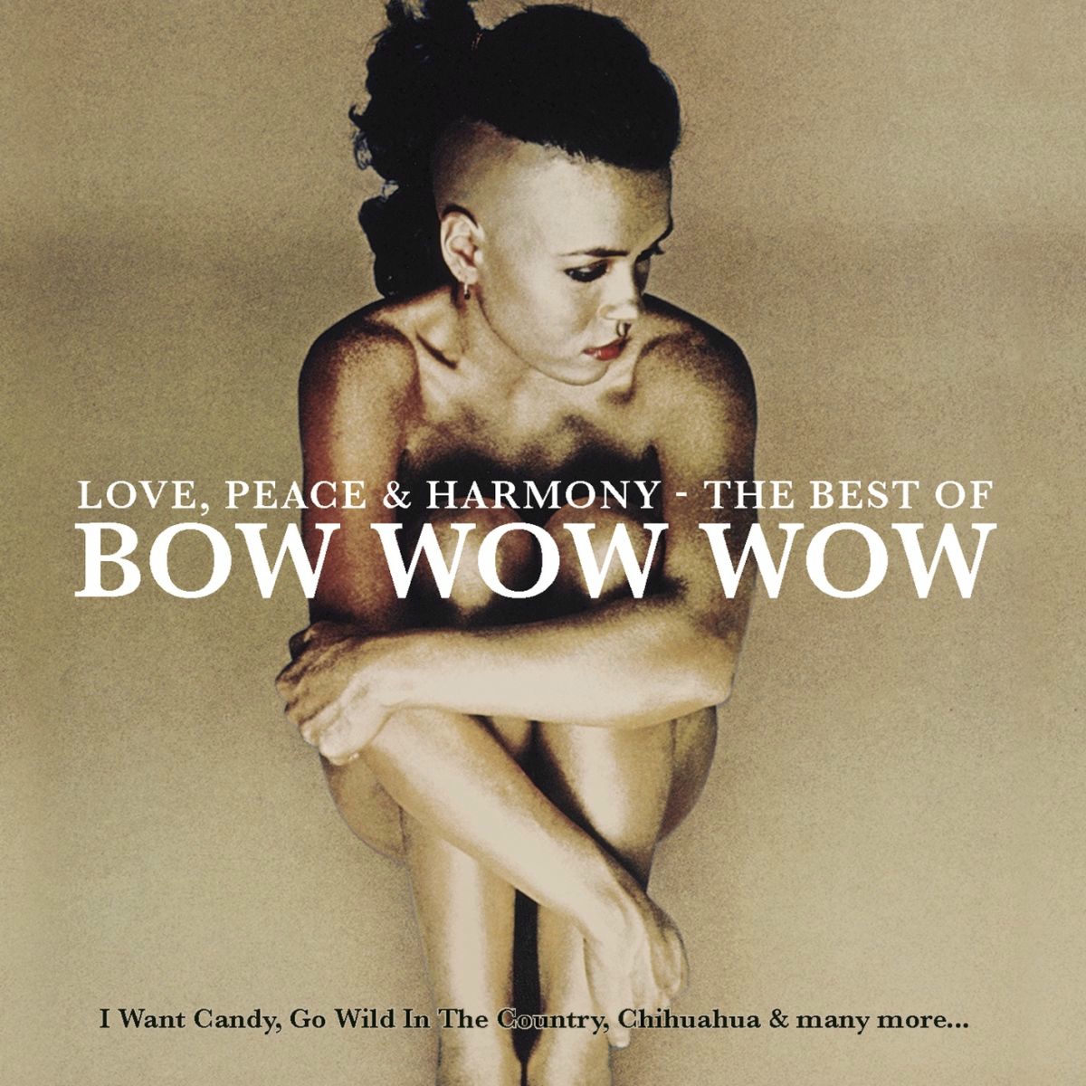 Bow wow CD セット hiphop Bow wow CD セット hiphop Bow Wow : Bow Wow: Unleased Rap/Hip