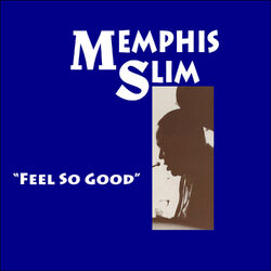 Cover of Feel so Good