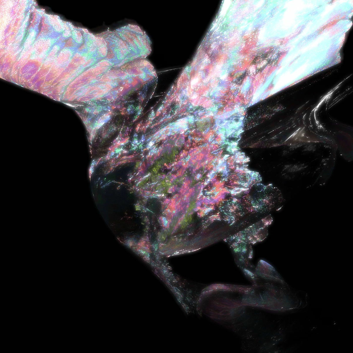 Album cover of RECIPROCITY