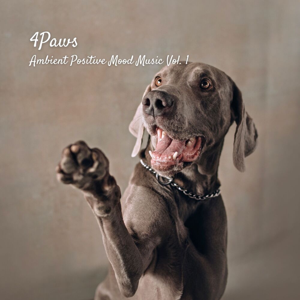 Picture of 4Paws: Ambient Positive Mood Music Vol. 1
