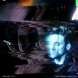 Cover of Tortured Waters