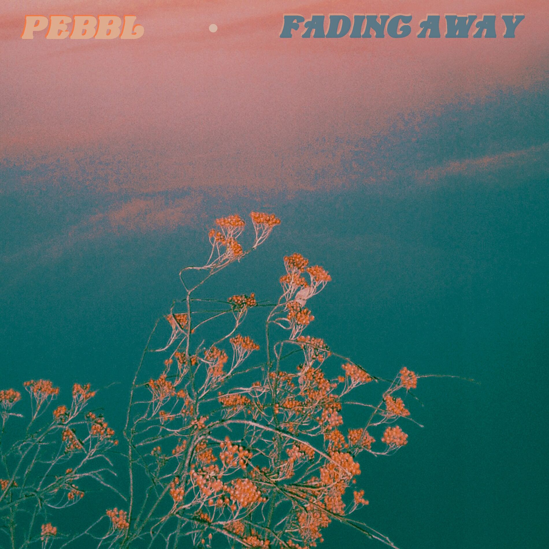 Album cover of Fading Away
