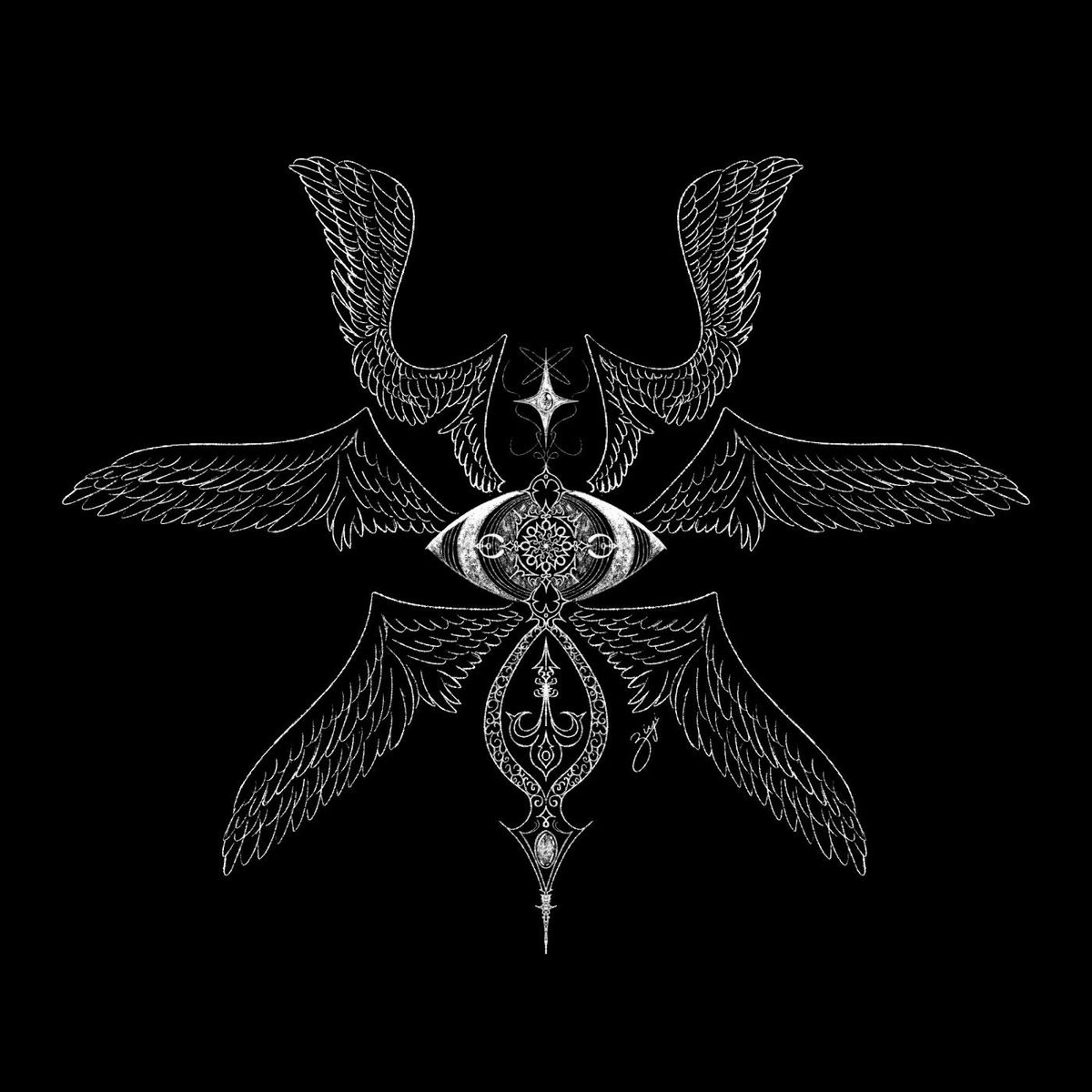 Album cover of light