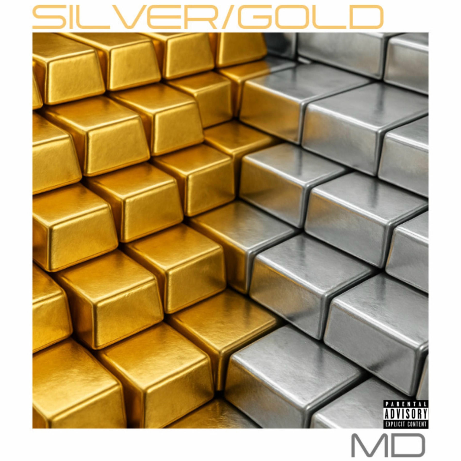 Album cover of Silver/Gold