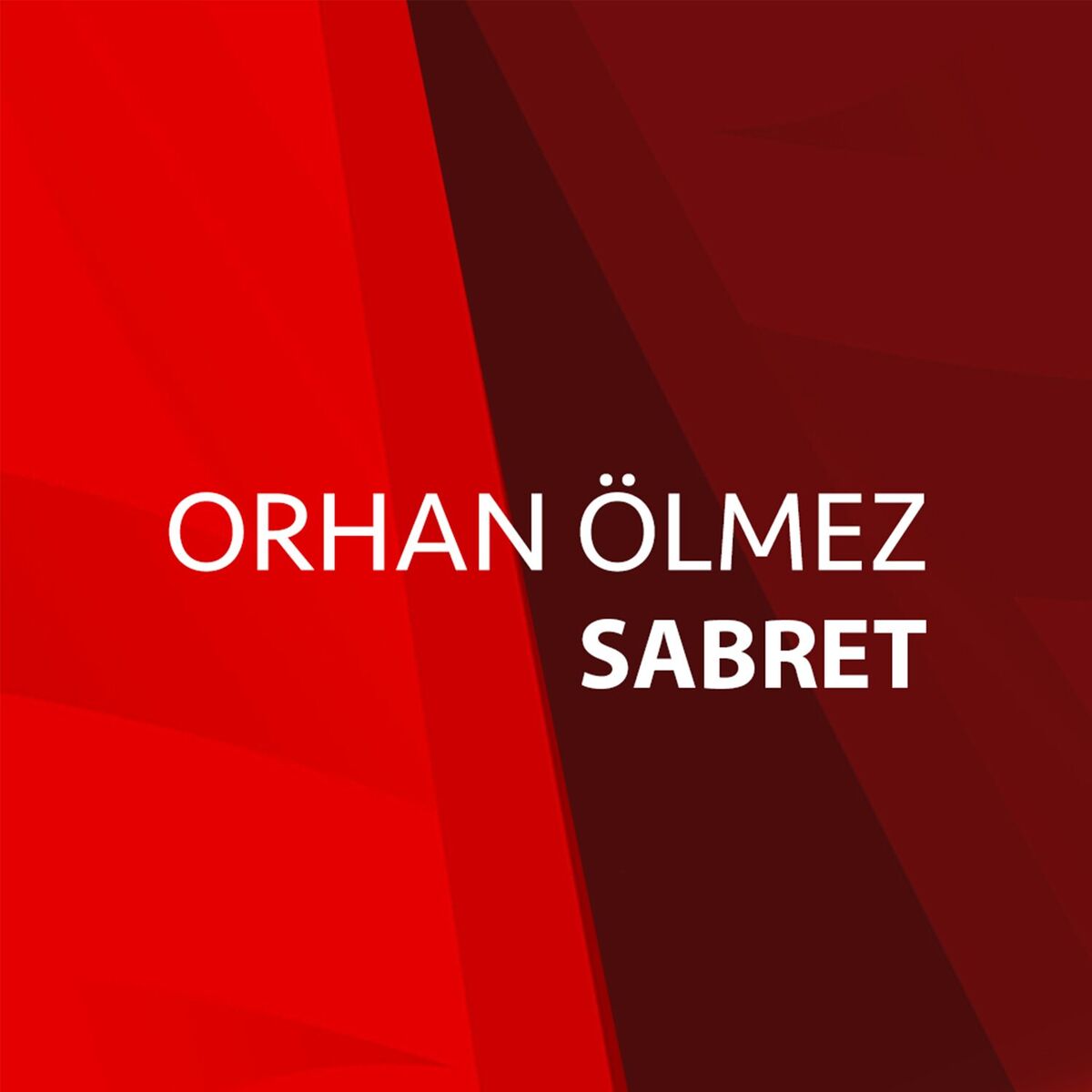 Album cover of Sabret