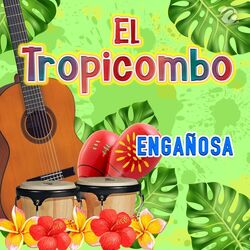 Cover of Engañosa