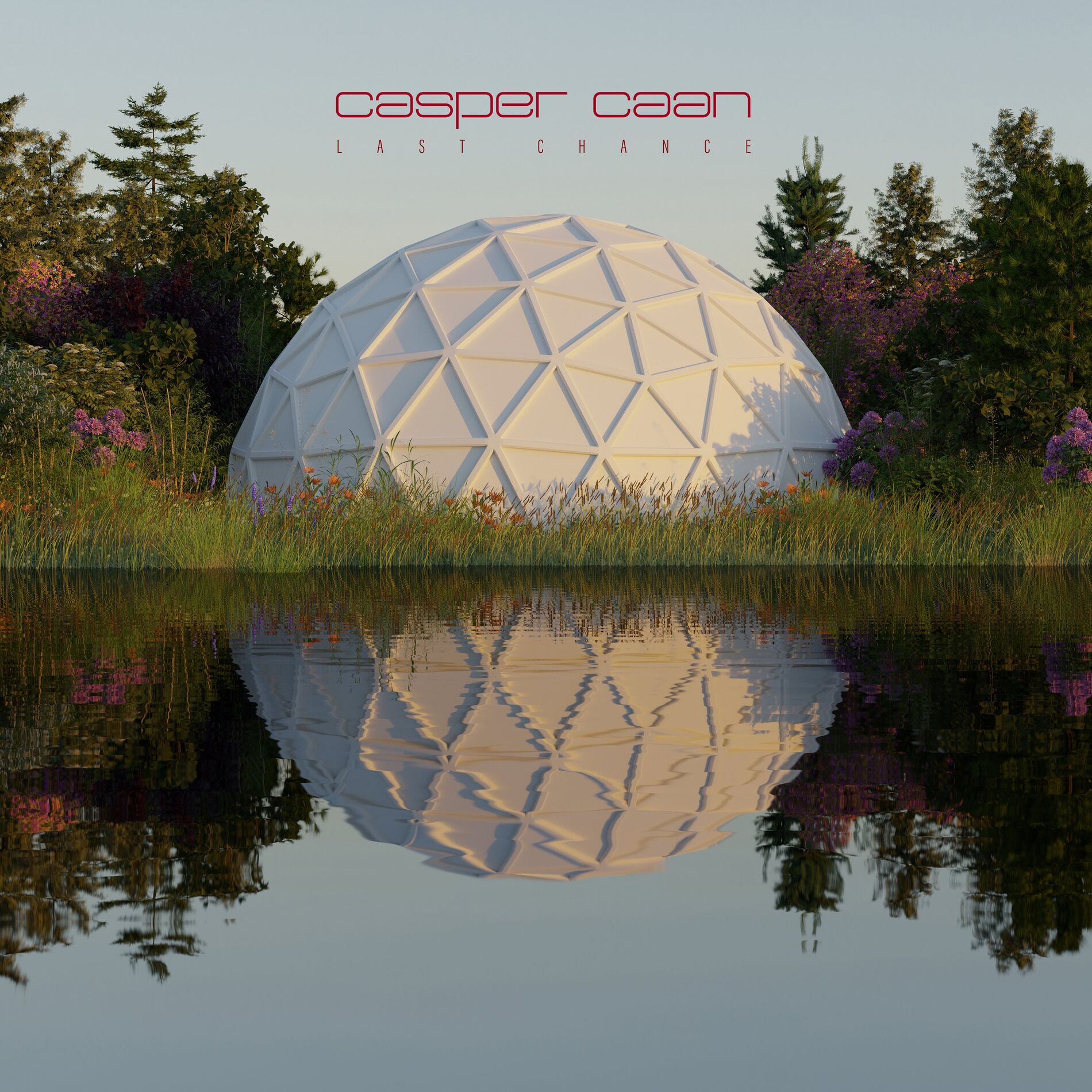 Album cover of Last Chance