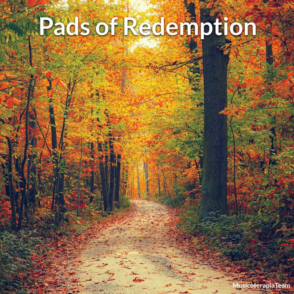 Album cover of Pads of Redemption