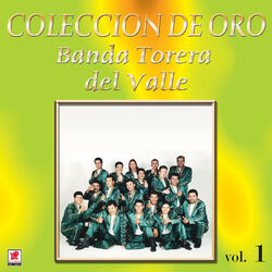 Cover of Colección De Oro, Vol. 1