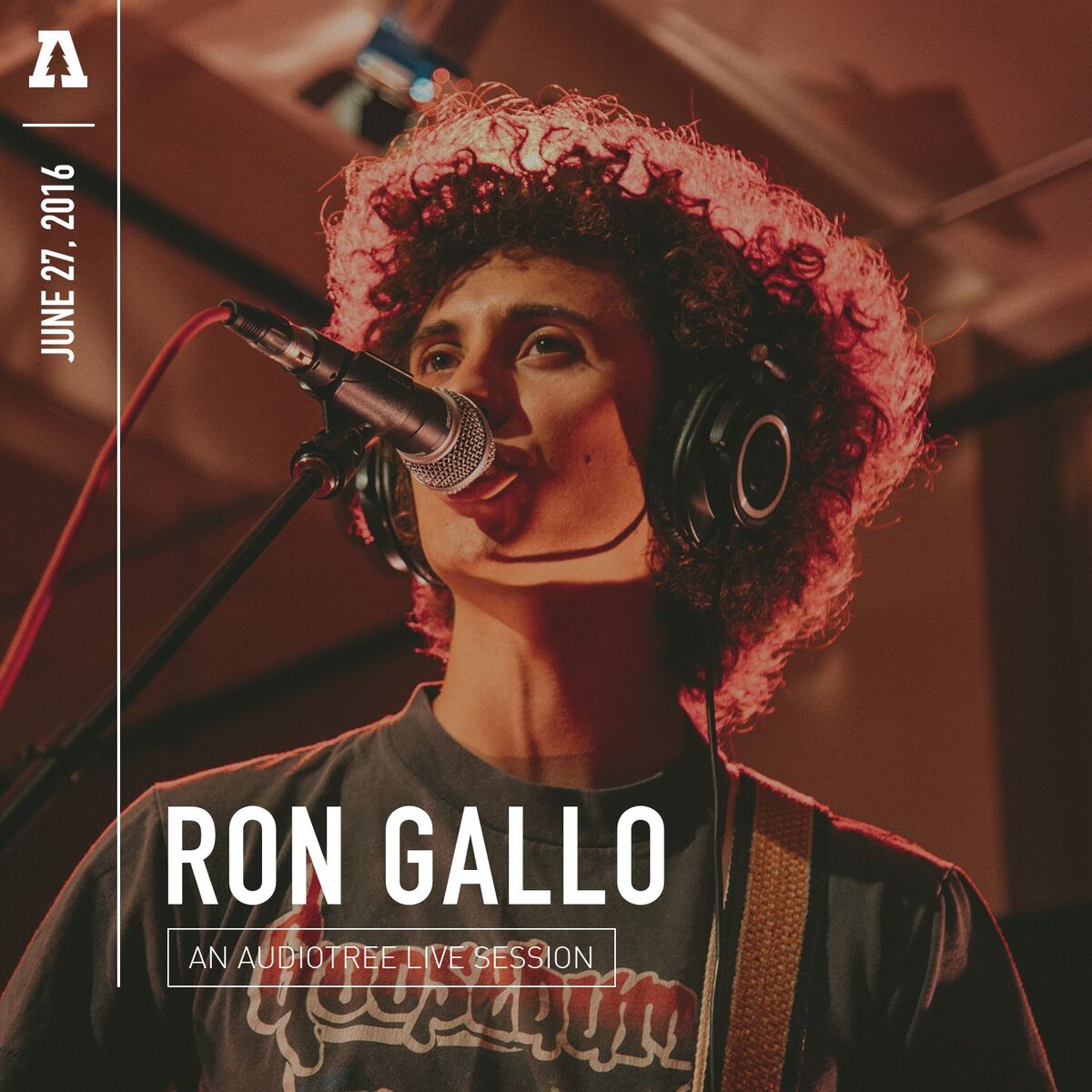 Album cover of Ron Gallo (Audiotree Live)
