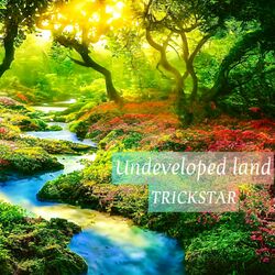 Cover of Undeveloped land