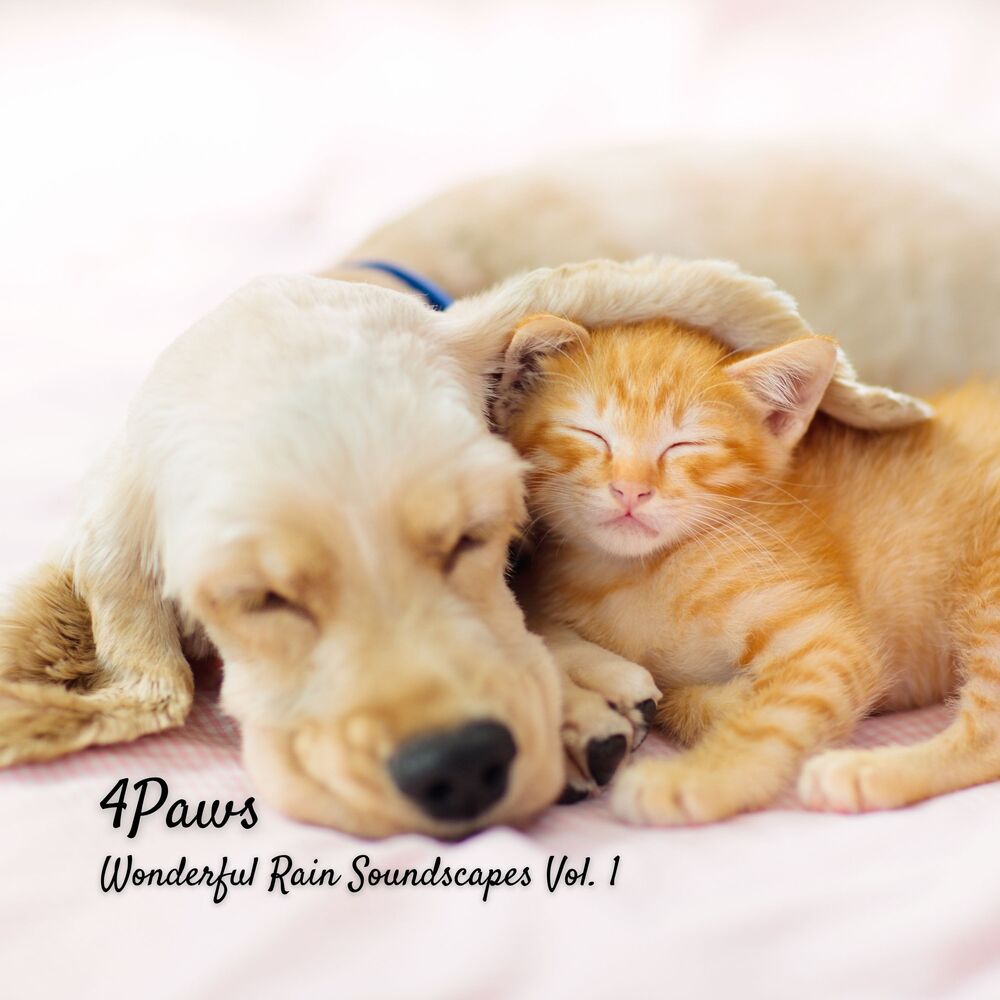 Picture of 4Paws: Wonderful Rain Soundscapes Vol. 1