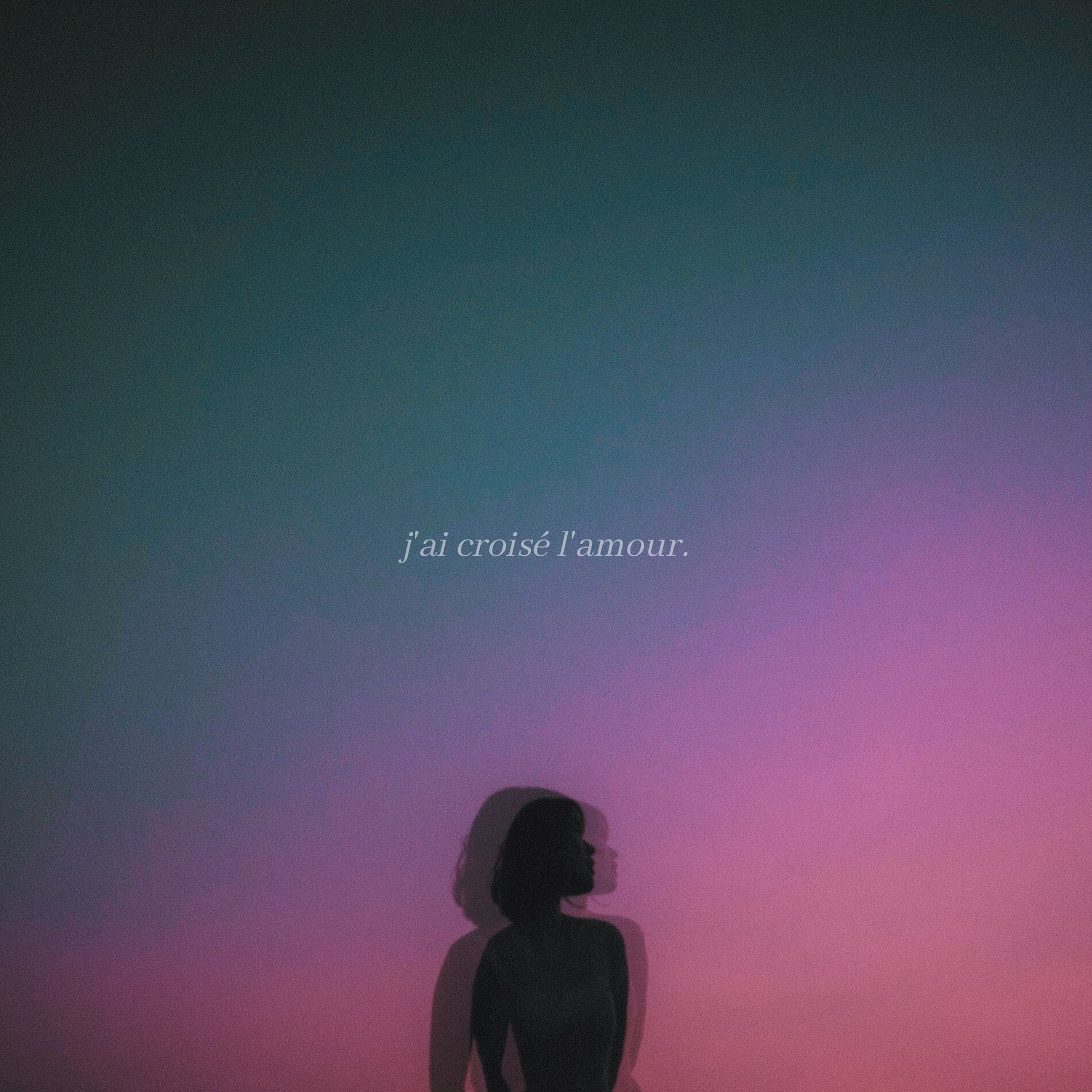 Album cover of j'ai croisé l'amour.