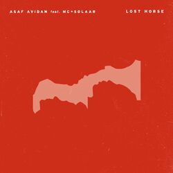 Cover of Lost Horse