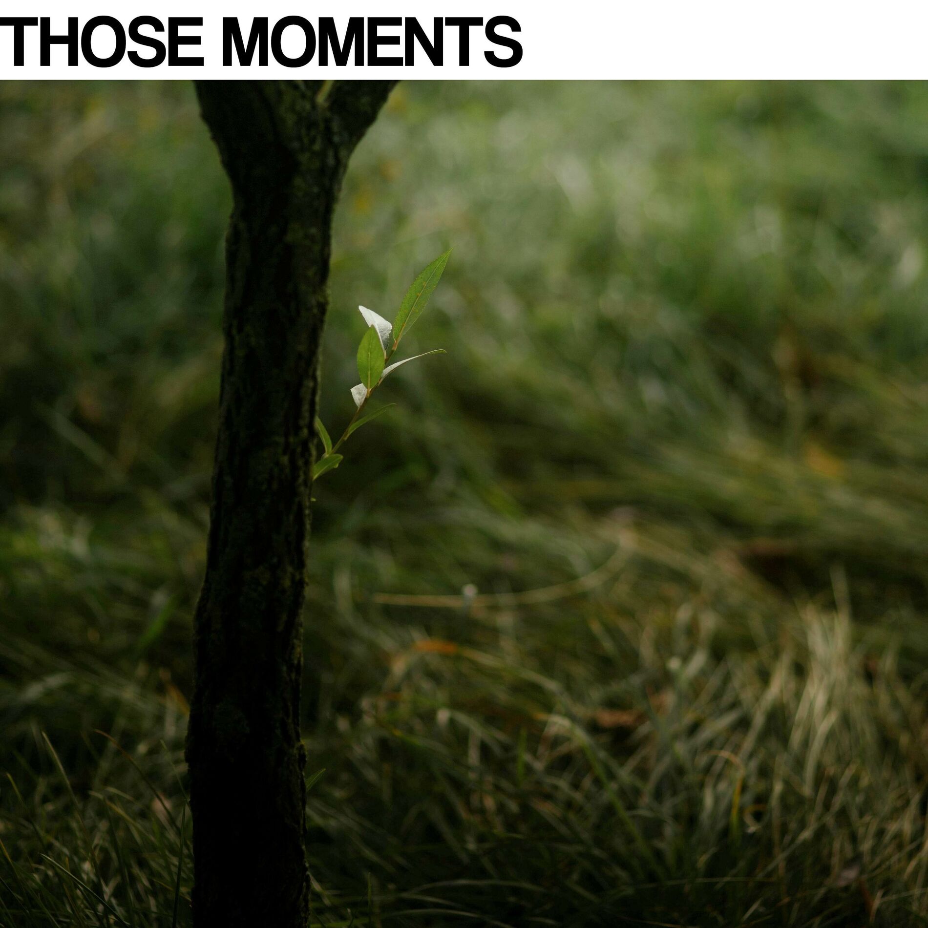 Album cover of Those moments