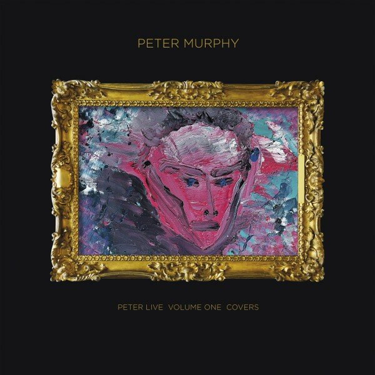Album cover of Peter Live - Volume 1 - Covers