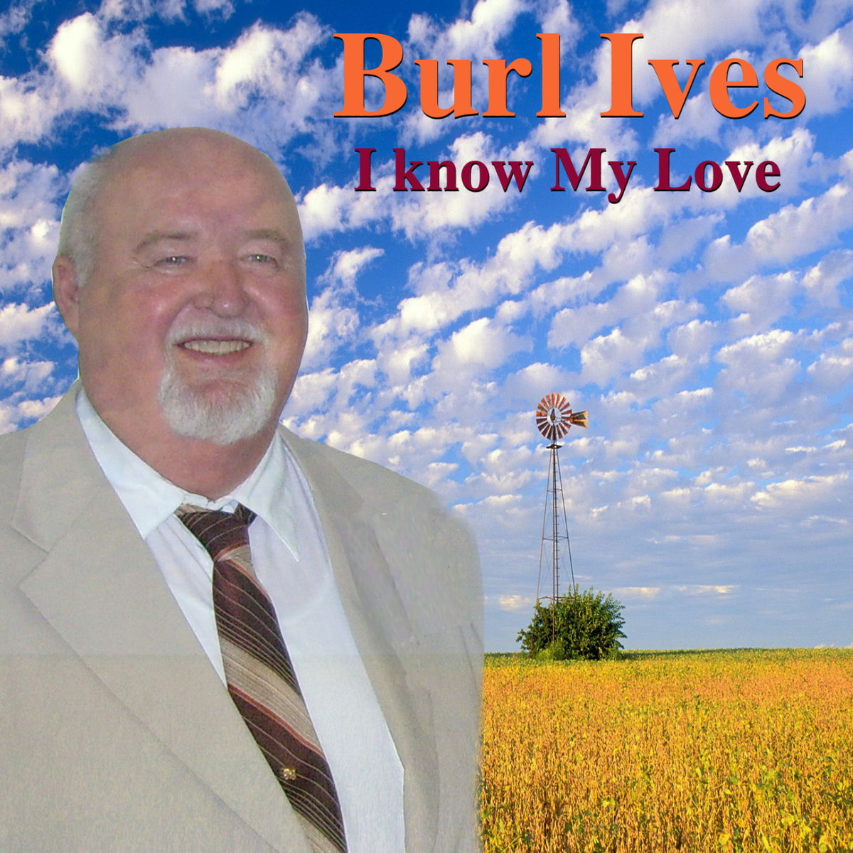Album cover of Riders In the Sky (A Cowboy Legend)