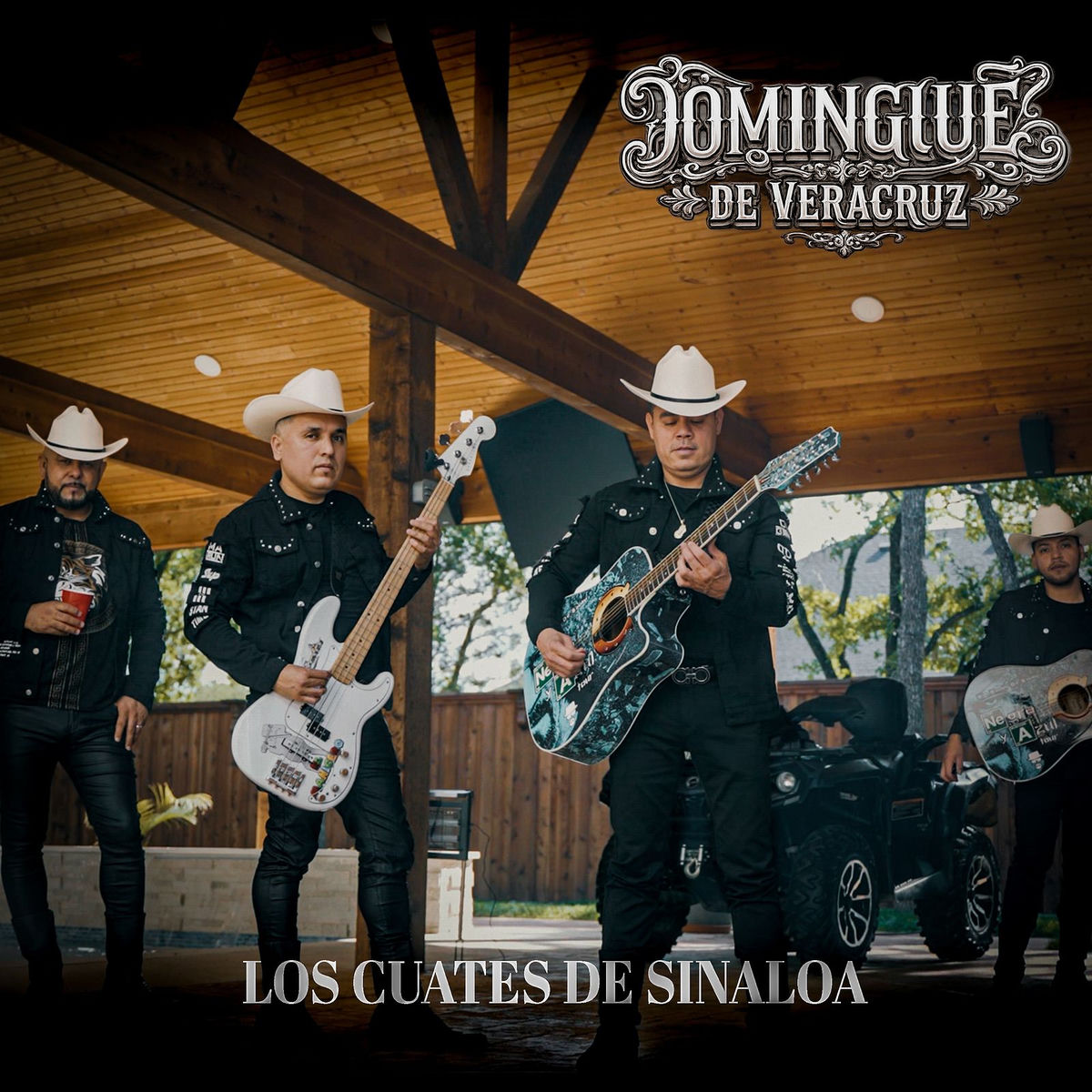 Album cover of Dominguez De Veracruz