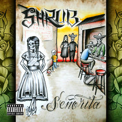 Descargar Señorita - Shrub MP3
