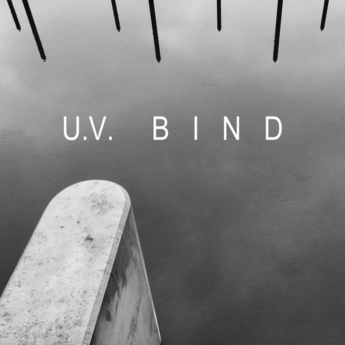 Album cover of B I N D
