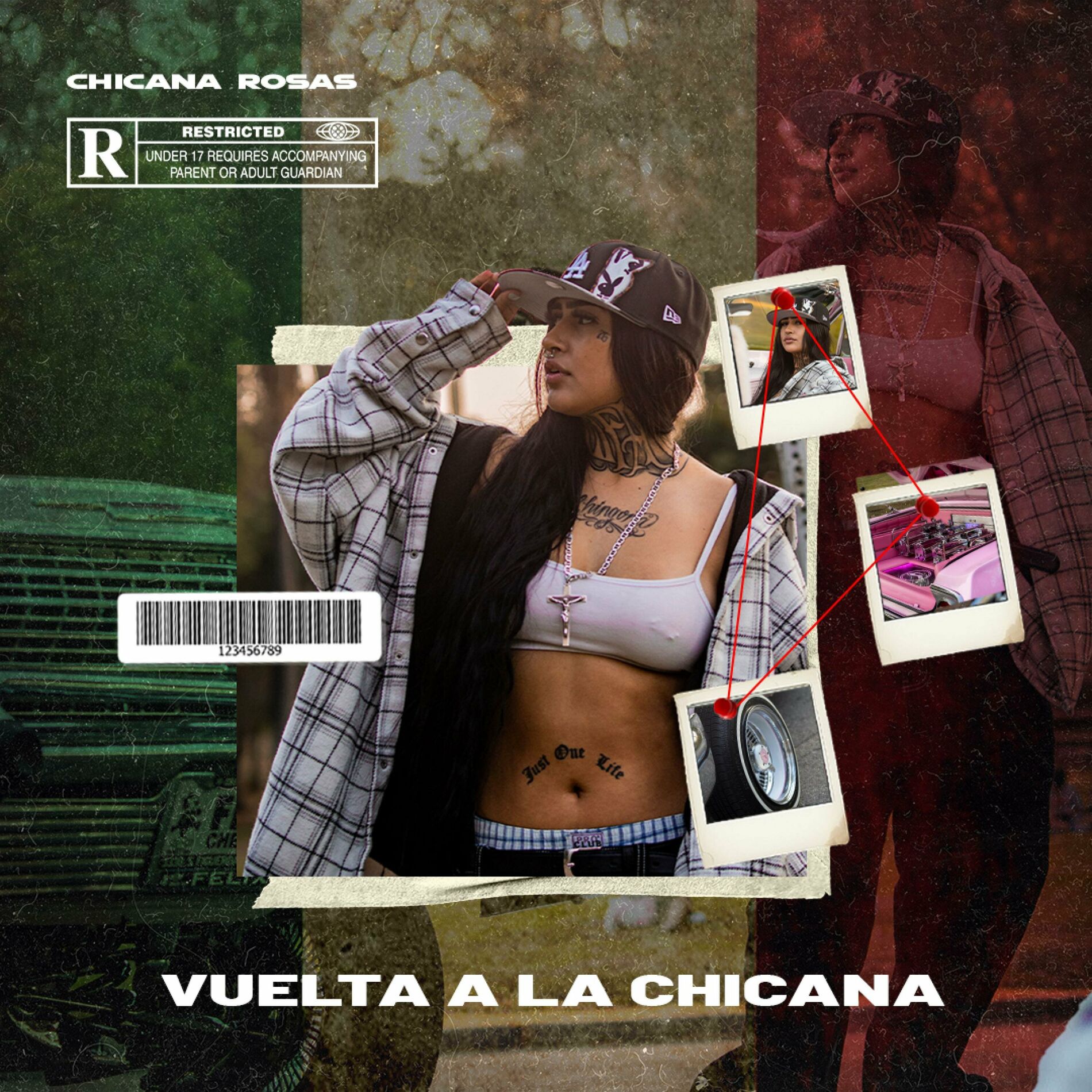 Album cover of VUELTA A LA CHICANA