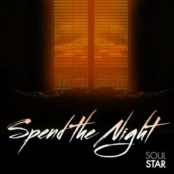 Cover of Spend the Night