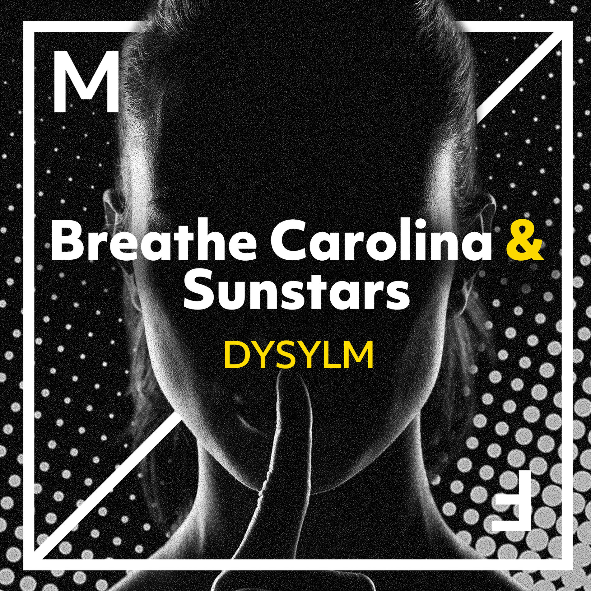 Album cover of DYSYLM
