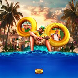 Cover of Pool Party do Tio W
