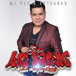 Cover of Me Vas A Extrañar