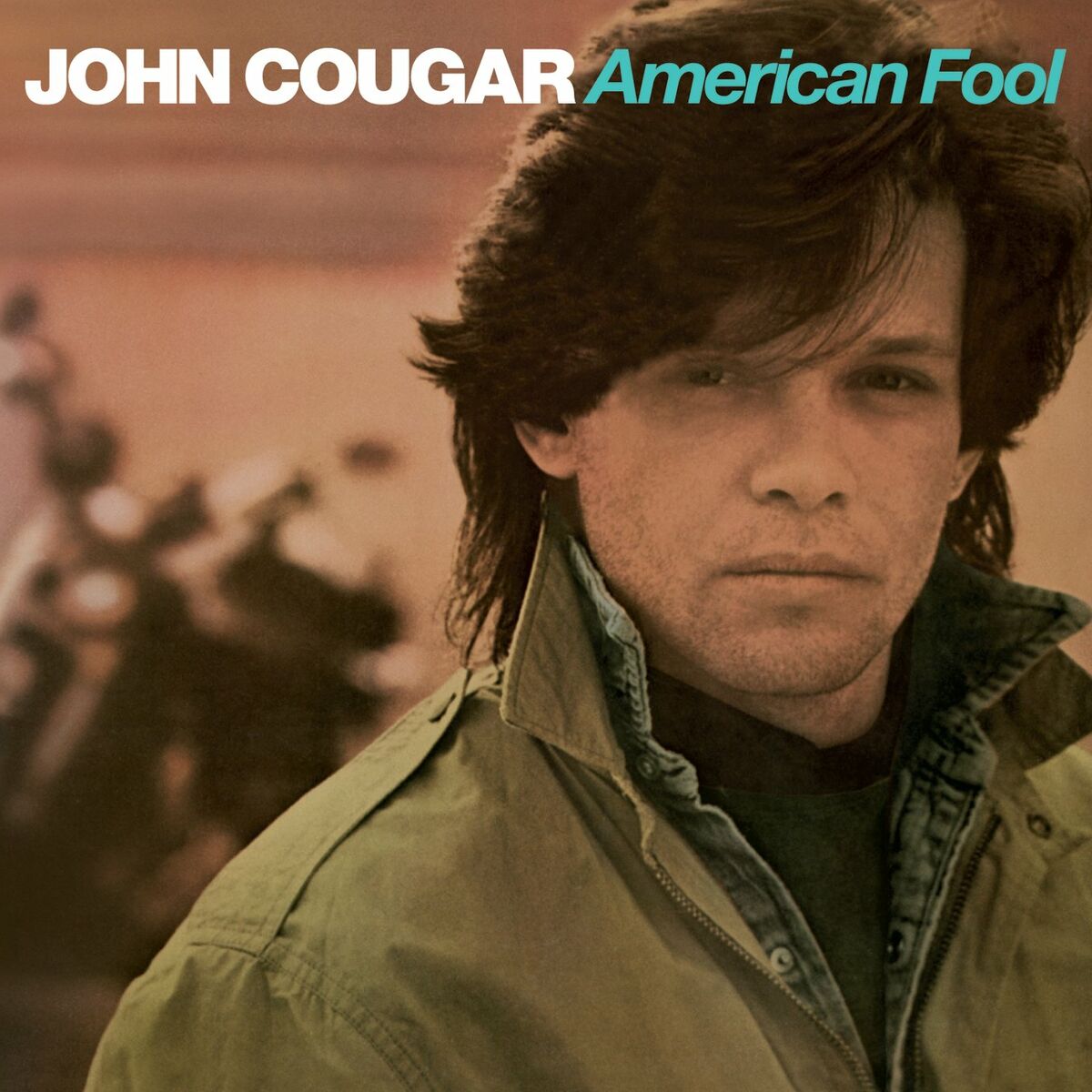 Album picture of American Fool
