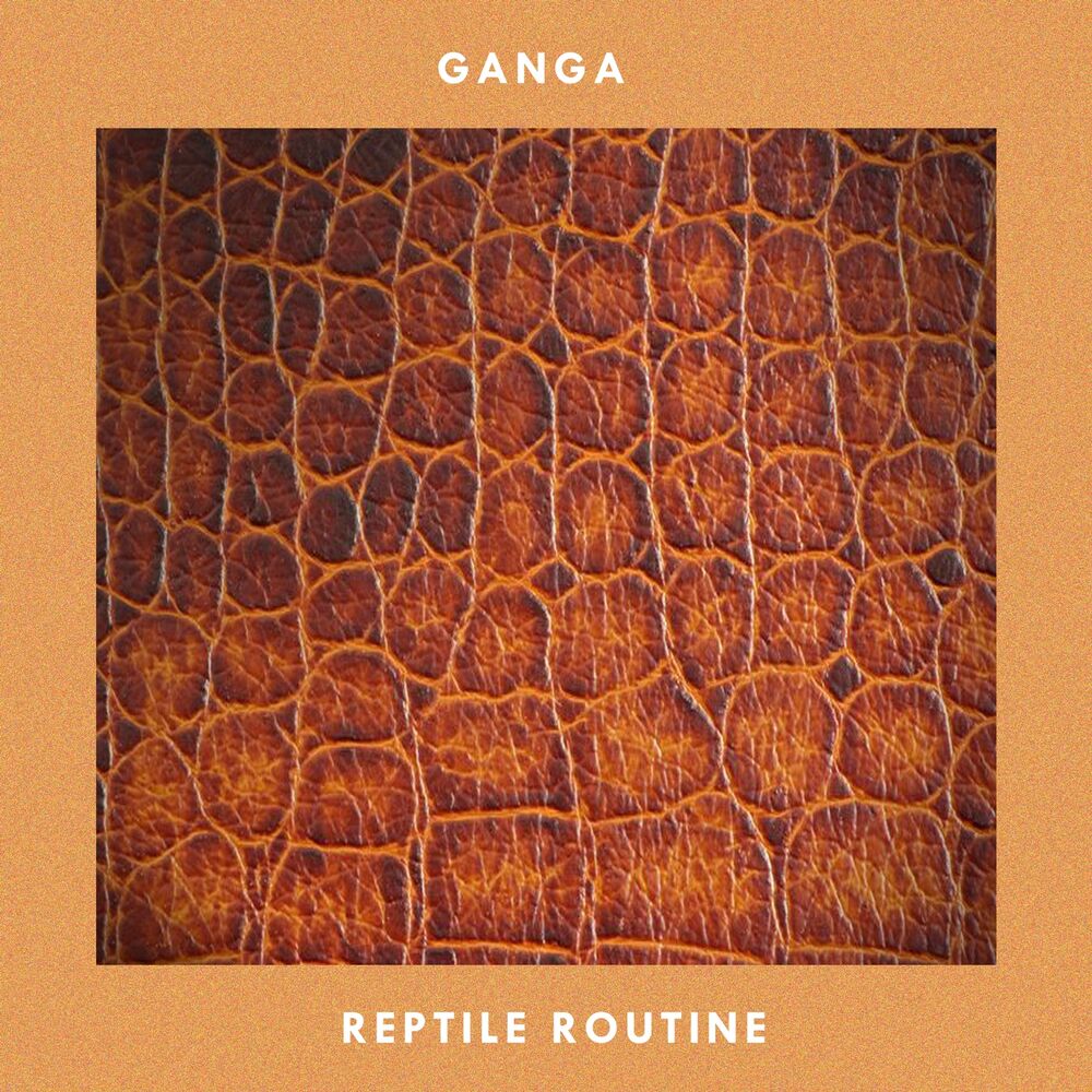 Picture of Reptile Routine
