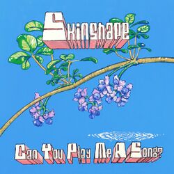 Cover of Can You Play Me A Song?