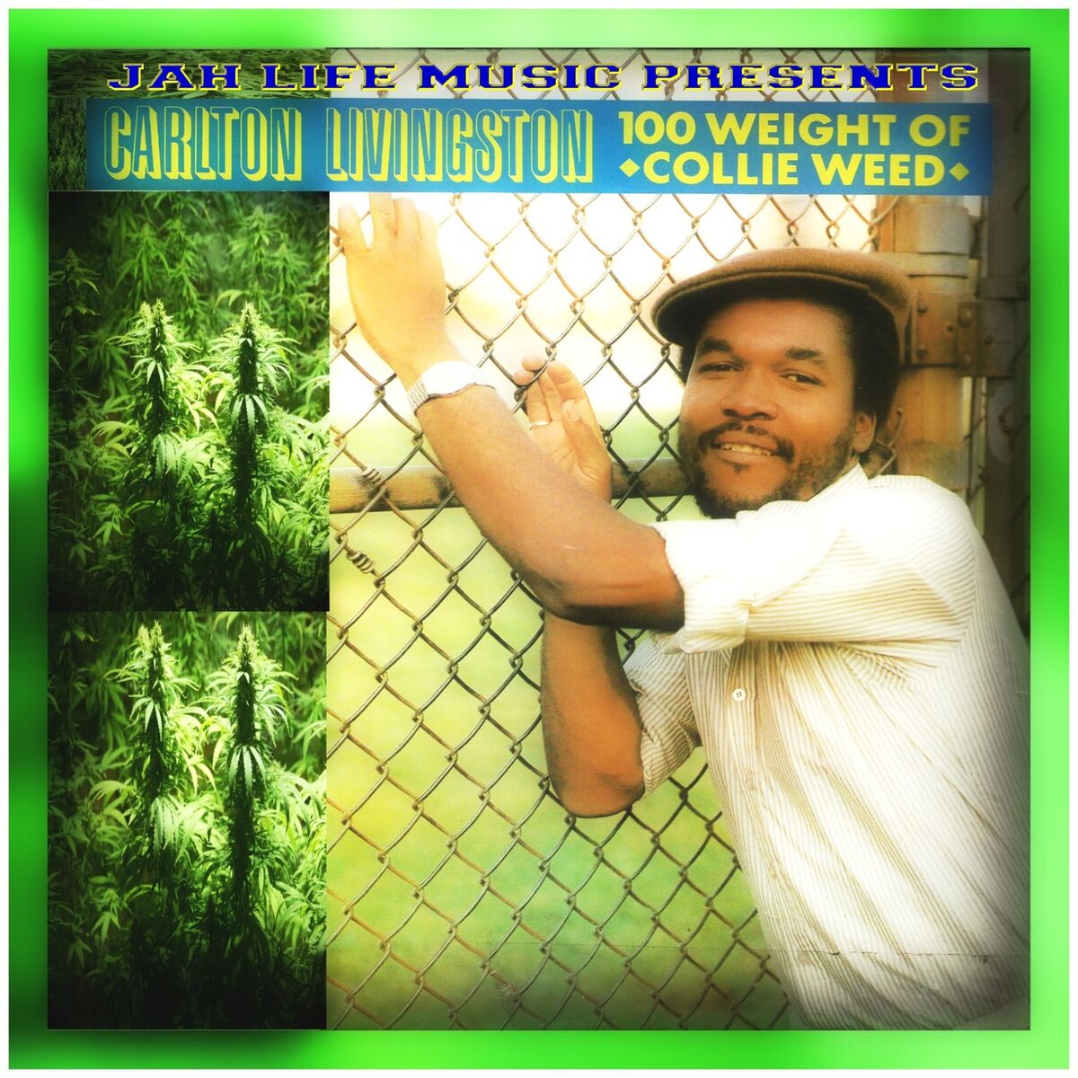 Album cover of 100 Weight of Collie Weed
