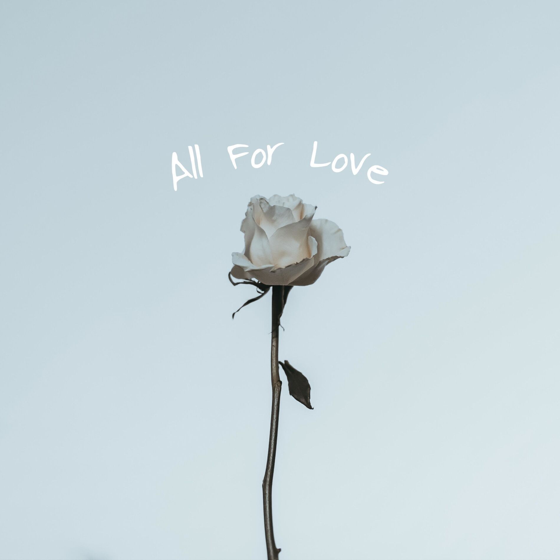 Album cover of All for Love