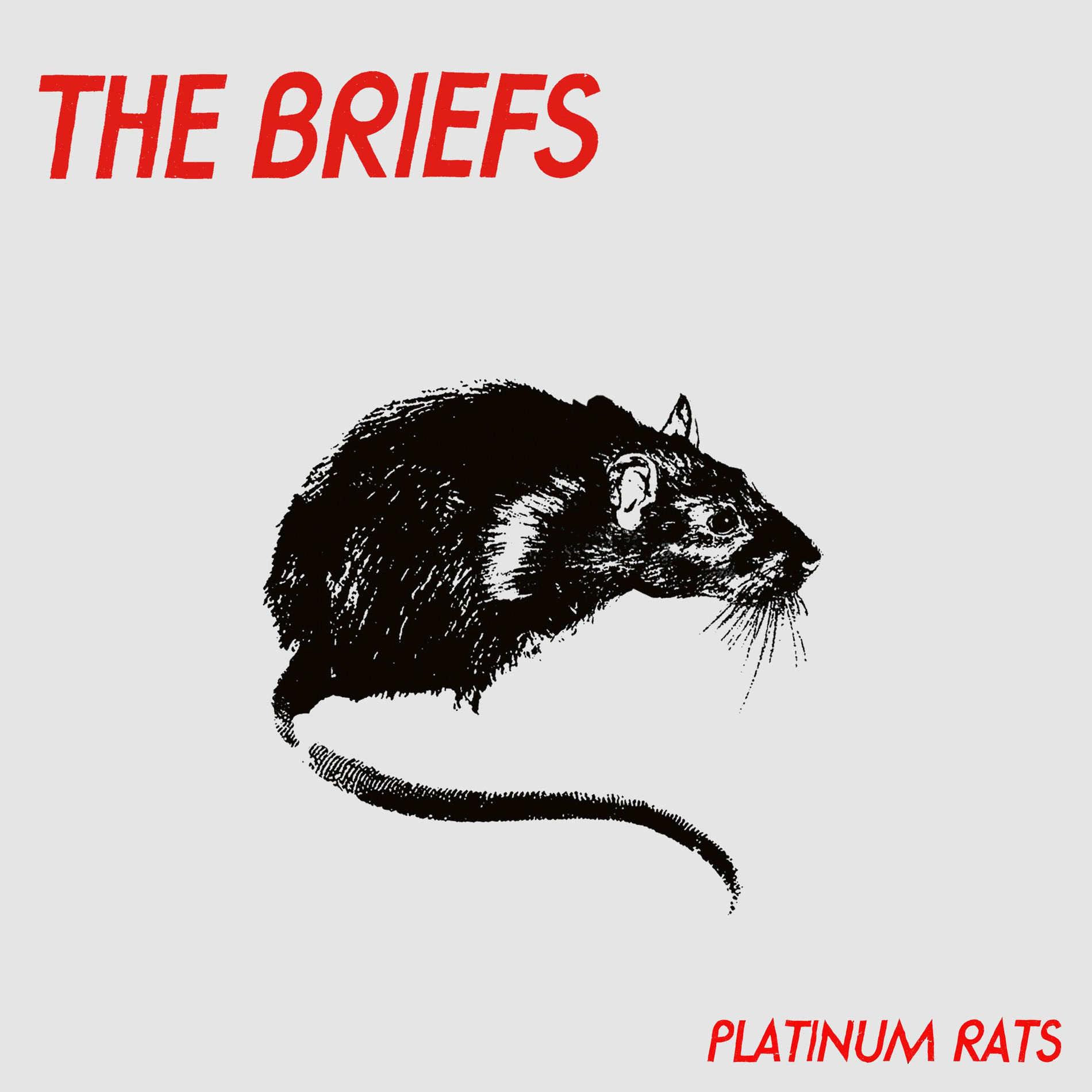 The Briefs - Platinum Rats | Deezer
