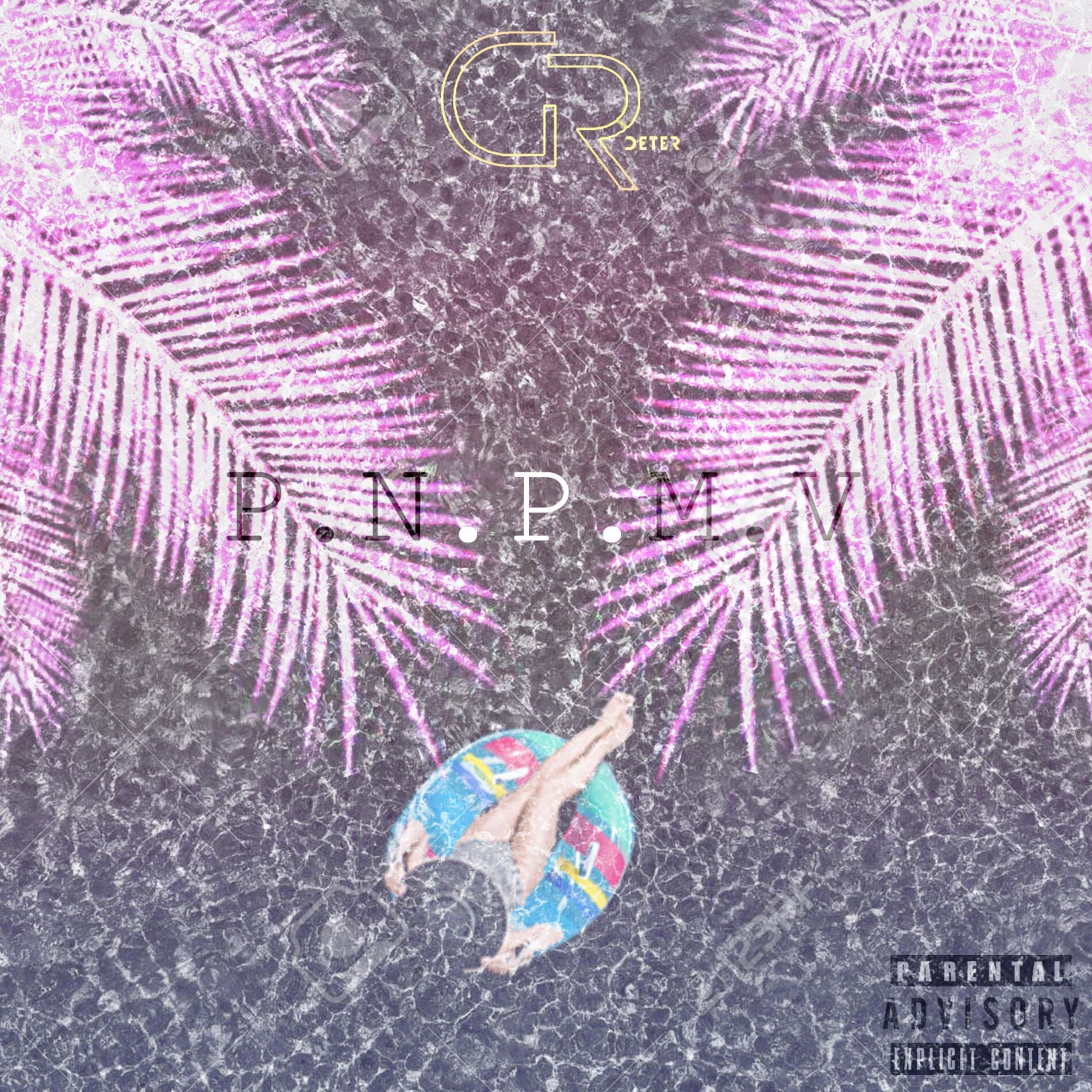 Album cover of PNPMV