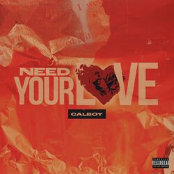 Cover of Need Your Love