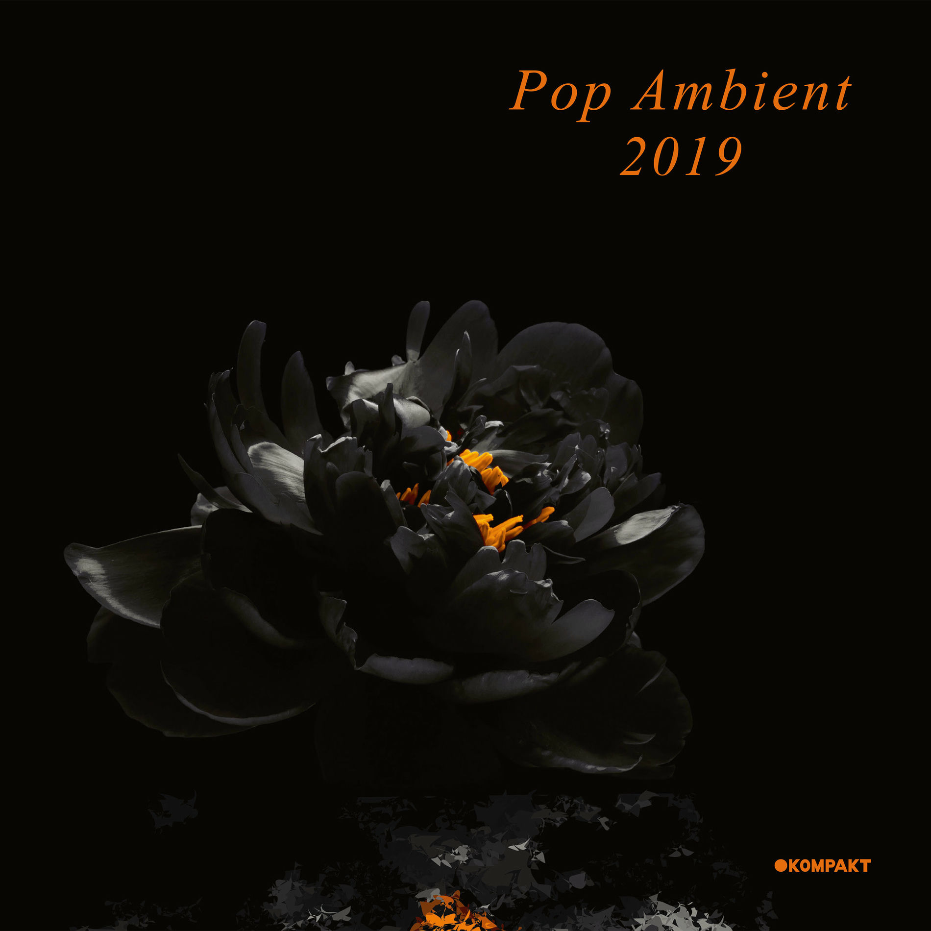 Album cover of Pop Ambient 2019