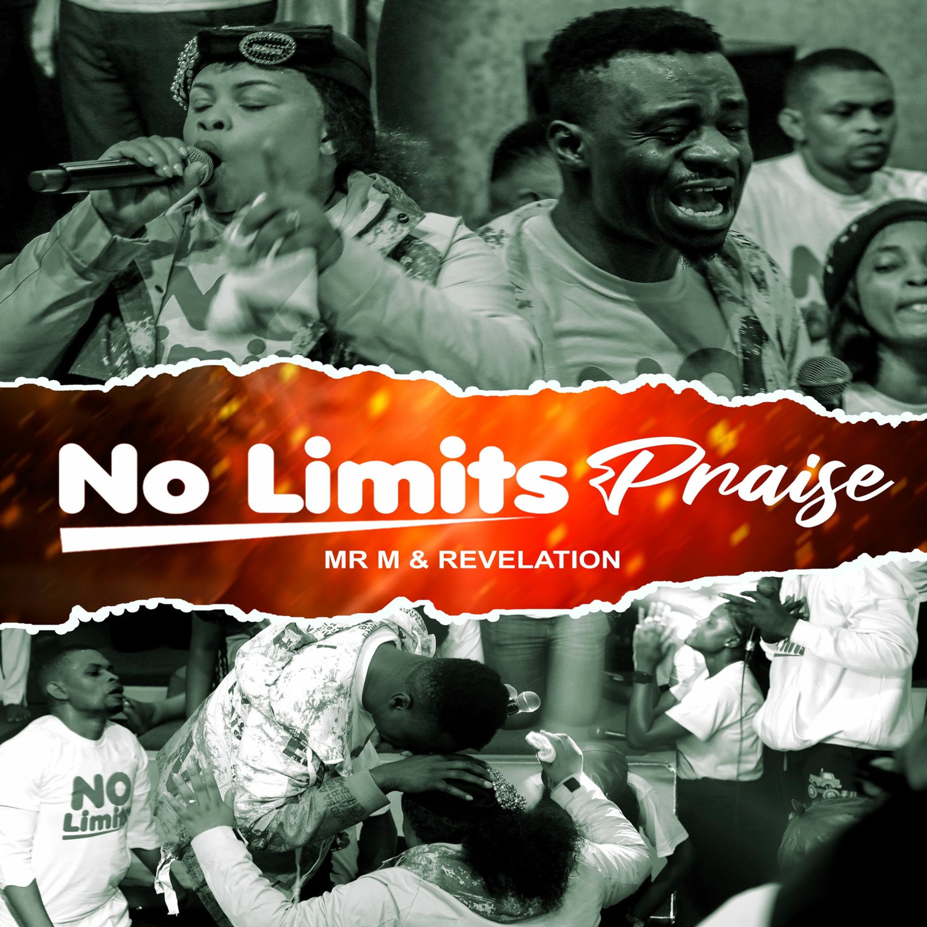 Album cover of No Limits Praise