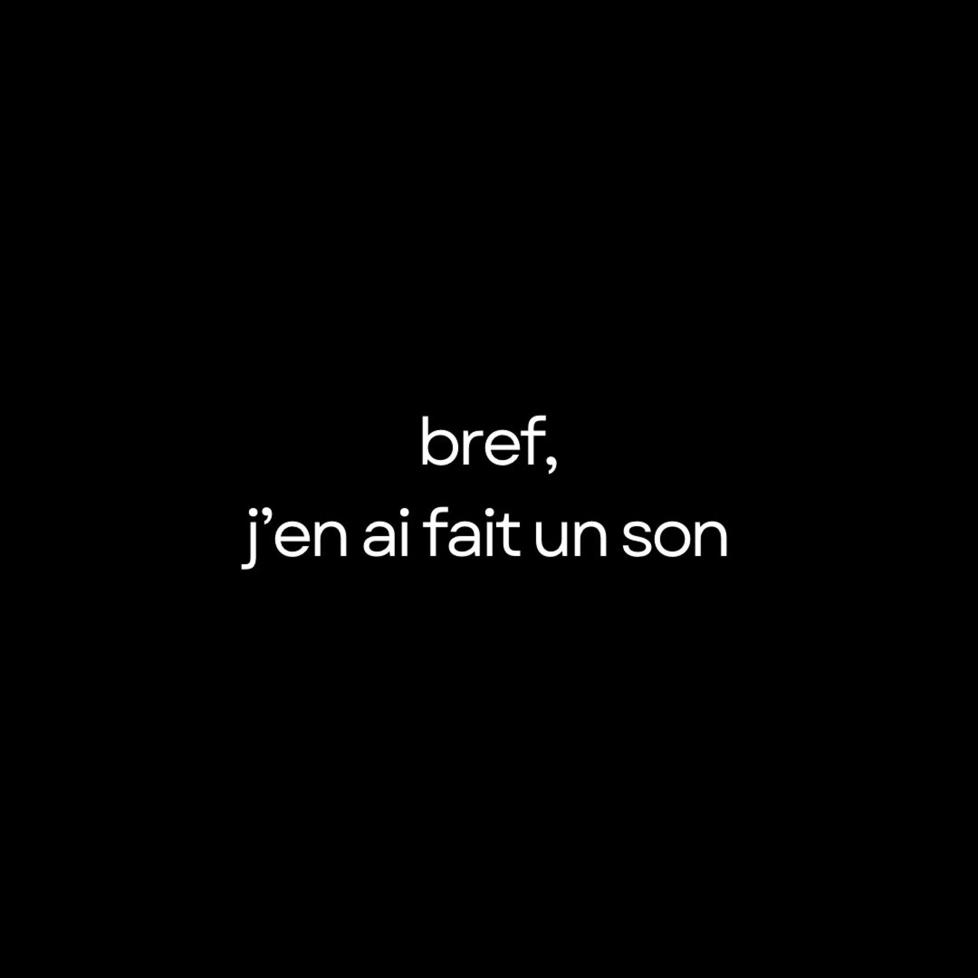 Album cover of bref, j'en ai fait un son