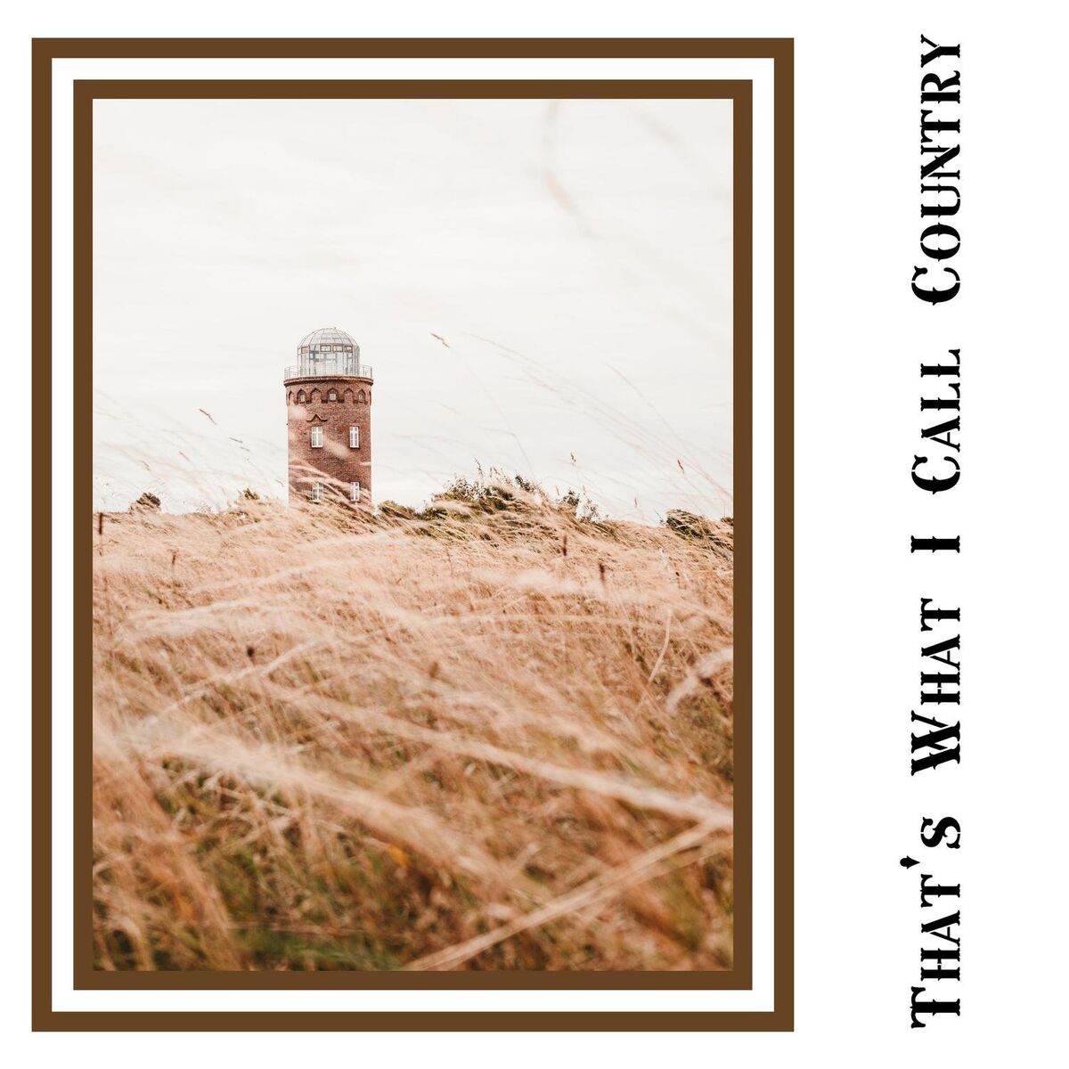 Album cover of That's What I Call Country