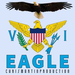 Cover of VI EAGLE
