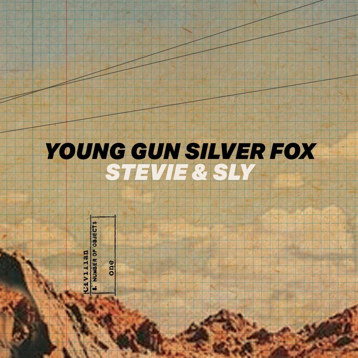 Album cover of Stevie & Sly